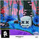���� ����, ����������, 38 ��� - ��������� 19 ������� 2022 � ������ ���� ����������