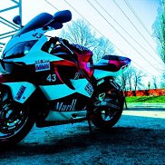 ���, 53 ����, �����������