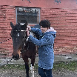 ���� �������, ������, 49 ��� - ��������� 4 ������ 2023