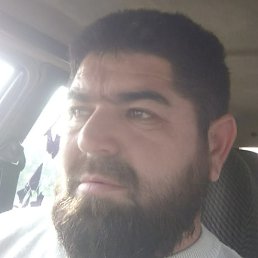 �����, ������, 41 ���