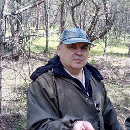 ���� ������, ������, 64 ���� - ��������� 3 ���� 2022