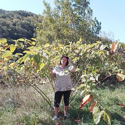 ����, ������, 49 ���