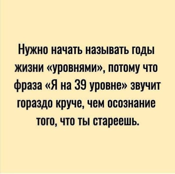   - 11  2022  04:42