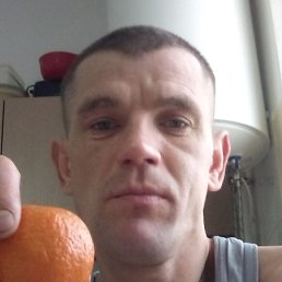 �����, �������, 39 ���