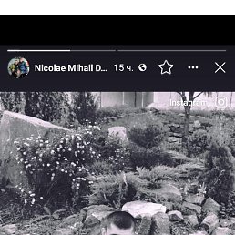 ���� Nicolae, �������, 42 ���� - ��������� 3 ������ 2023