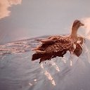 ���� �������, ������, 76 ��� - ��������� 11 ������� 2022 � ������ ���� ����������
