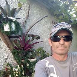 �������, ���������, 56 ���