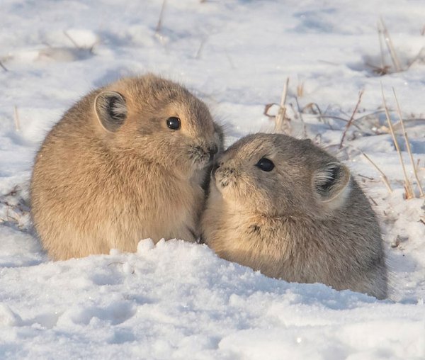 ���� ���������� ������.������ ���������� ������ �������� ������������ �������, �� � ��������� ... - 6