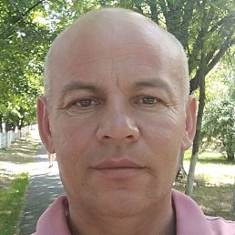 ������., ������, 43 ����