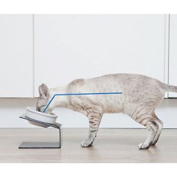 �������, ����, 39 ���