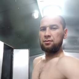 ���� �������, ������������, 41 ��� - ��������� 12 ������� 2023