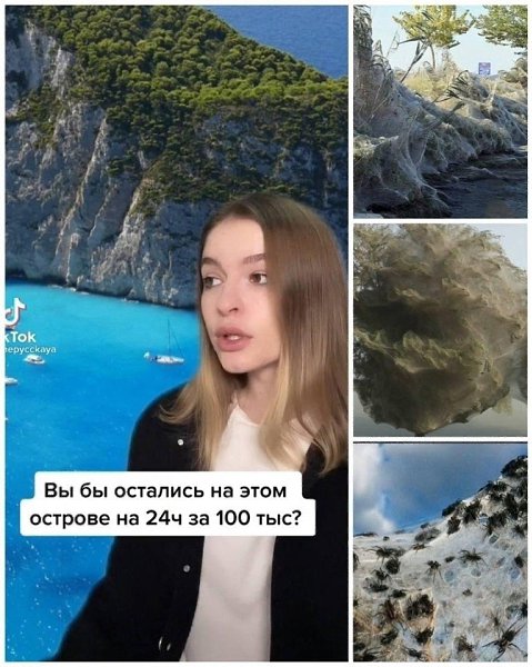   ....