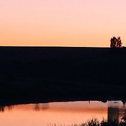 Iii, ����, 37 ���