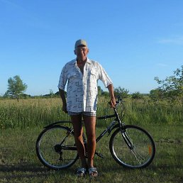 ������, �������, 66 ���