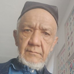 ��������, �����, 67 ���