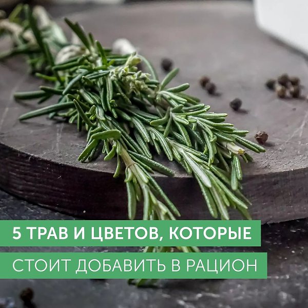 Некоторые травы и цветы положительно влияют на здоровье: одни помогают расслабиться, другие, ...