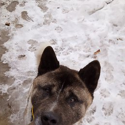 ���������, ������������, 57 ���