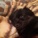 ���� �������, �����, 42 ���� - ��������� 25 ������ 2023 � ������ ���� ����������