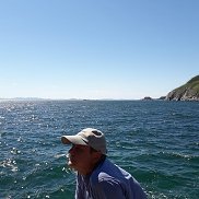 �����, 62 ����, ���������