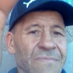 ���������, ���������, 49 ���