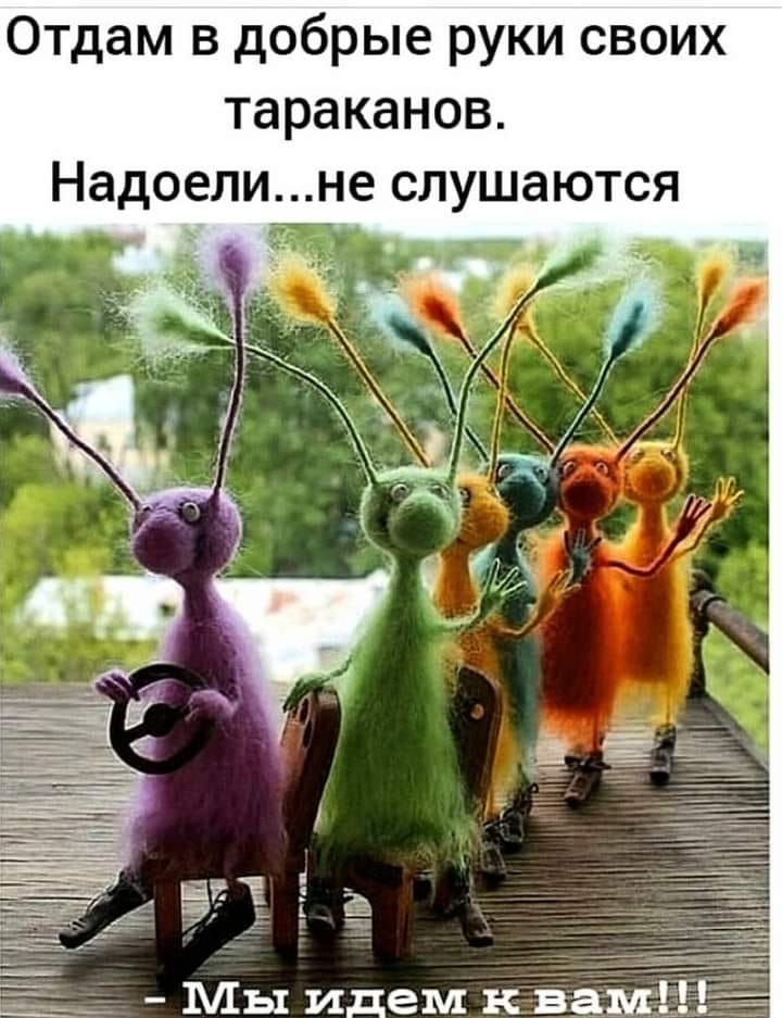  ! - 21  2022  08:56