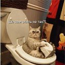 ���� �����������, ������ - ��������� 21 ����� 2022 � ������ ����