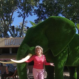 �����, �������, 63 ����