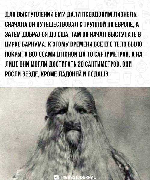 BEST | , ,  - 21  2022  23:56 - 4