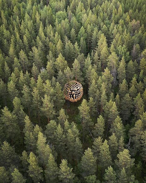  , - Treehotel.      ,    ... - 5