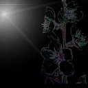 ���� ����, ����������, 43 ���� - ��������� 20 ����� 2022 � ������ ���� ����������