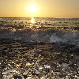 ����, �����, 38 ���