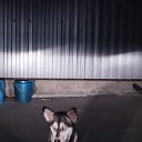 ���� ������, ���������, 71 ��� - ��������� 6 �������� 2022 � ������ ���� ���