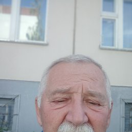 , 65 , 