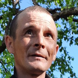 ���������, ���������, 41 ���