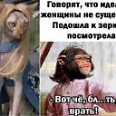  ϸ-, , 59  -  23  2022