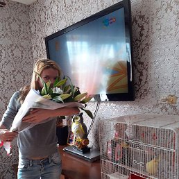 ���������, ���������, 37 ���