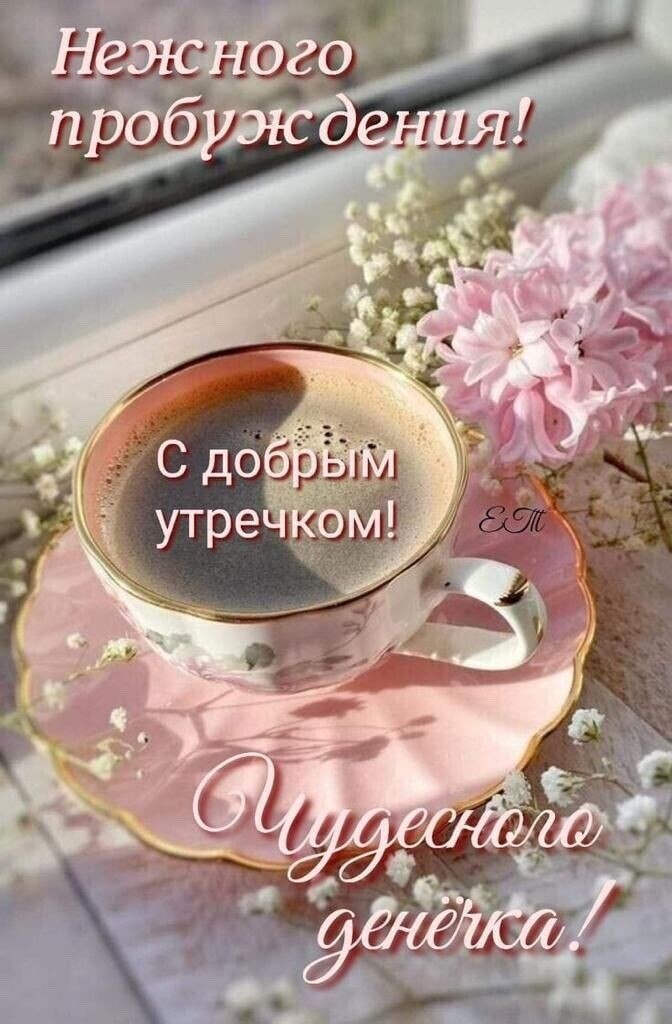   ...!  ...  ,    !