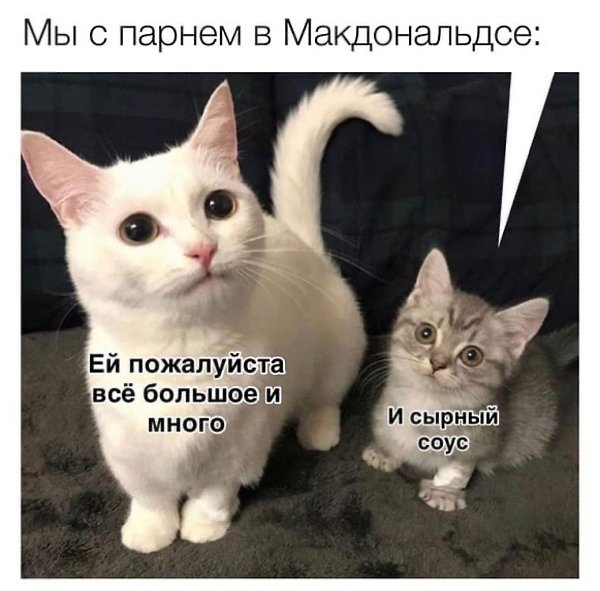    - 2  2023  14:39