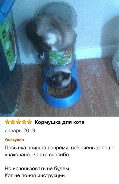   ,      . 