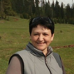 �����, ������, 53 ����