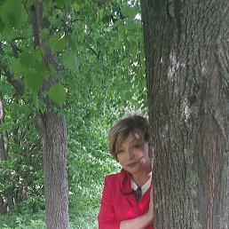 ������, ������, 62 ����