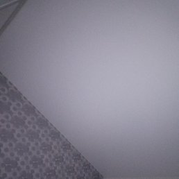 ����, ������, 38 ���