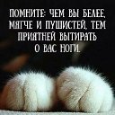 ���� ����, ������, 36 ��� - ��������� 23 ������ 2022 � ������ ���� ����������