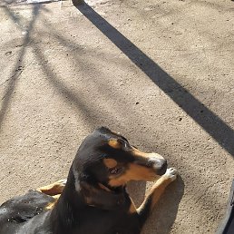 Sergey, �����������, 25 ���