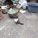 ���� Andrey, ��������������, 47 ��� - ��������� 15 ������ 2022 � ������ �������