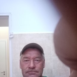 , 58 , 