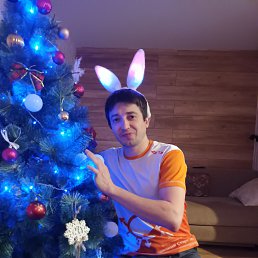 , 41 , 