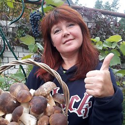 ������, ������ ��������, 52 ����