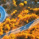 ���� ����, �������, 44 ���� - ��������� 14 ����� 2022