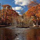 ���� ������, �������������-���������� - ��������� 15 ������� 2022 � ������ �� ������� �����...�